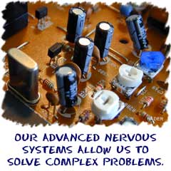 Our advanced nervous system allows us to solve complex problems.